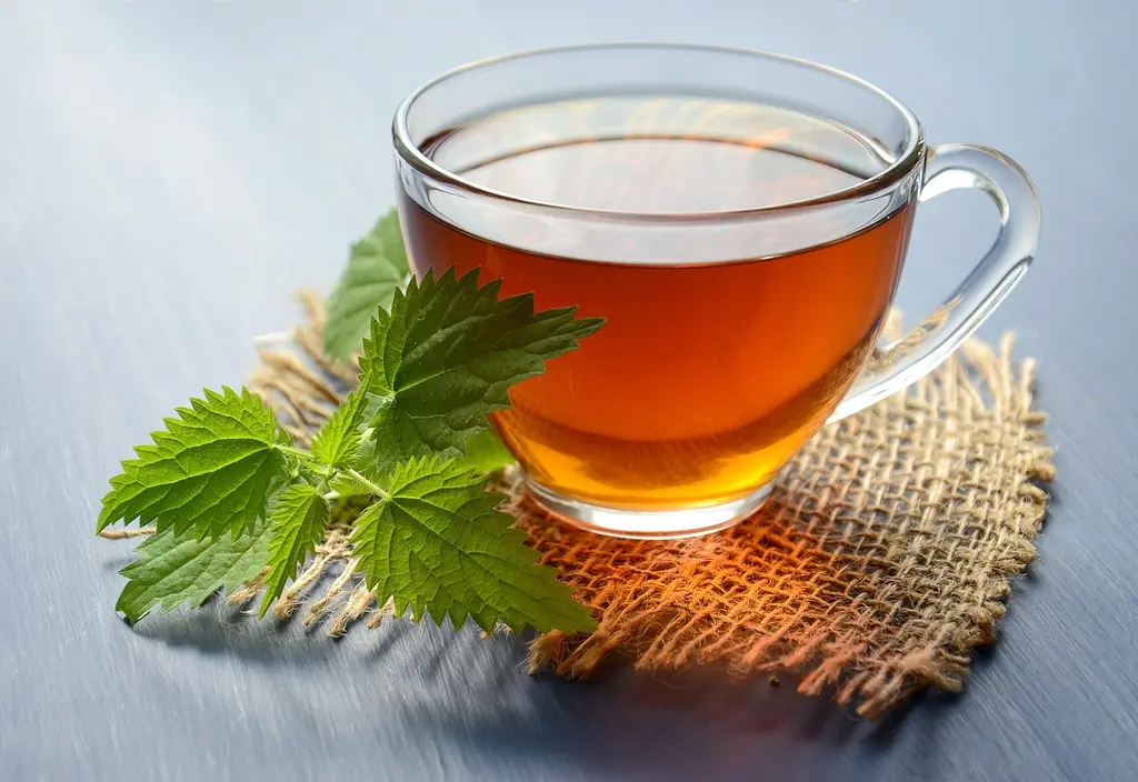 Qué saber sobre Blog de tés e infusiones de hierbas